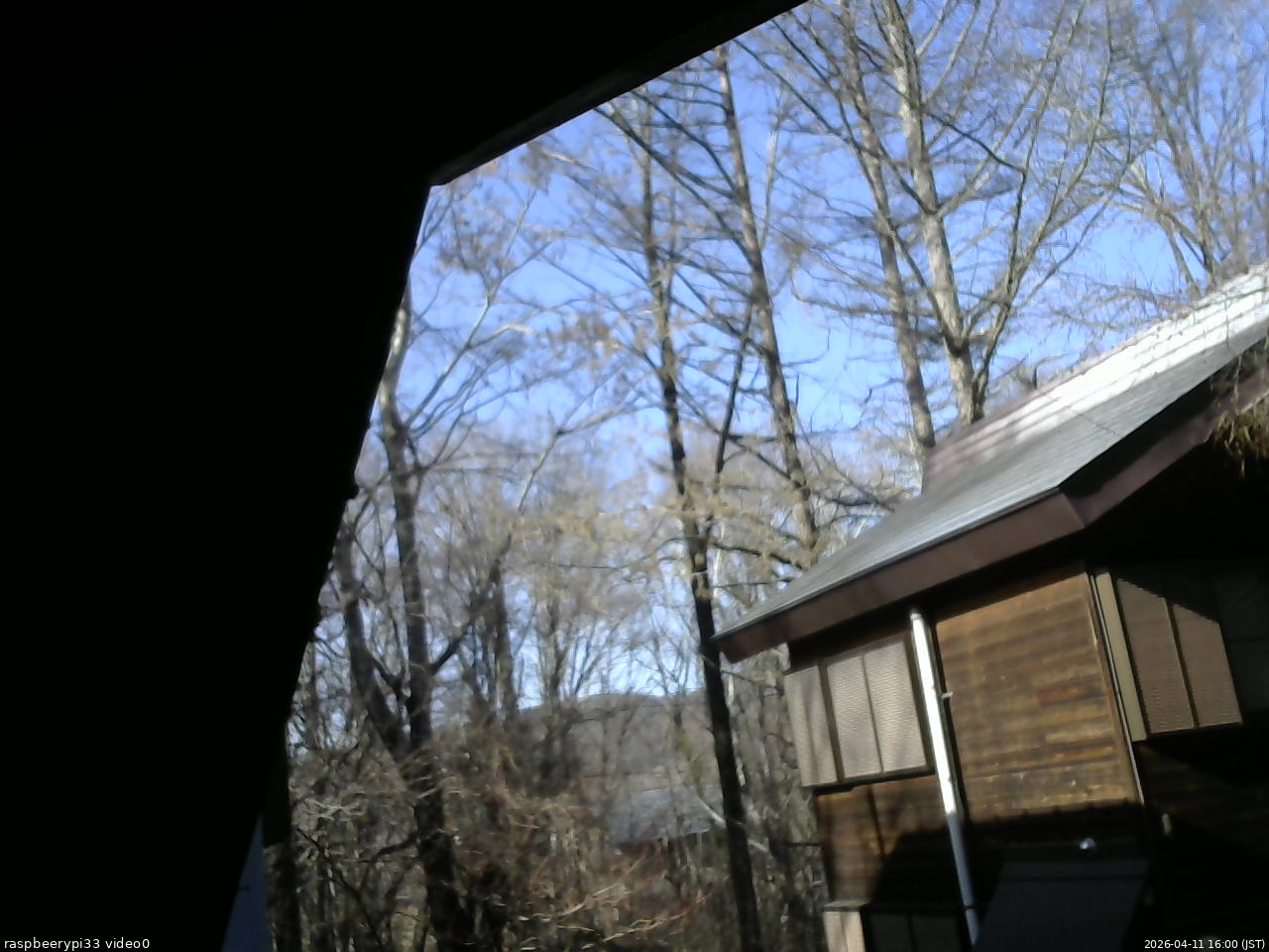 長野県菅平高原 ゆたか山荘 北側 2026/04/11 16:00