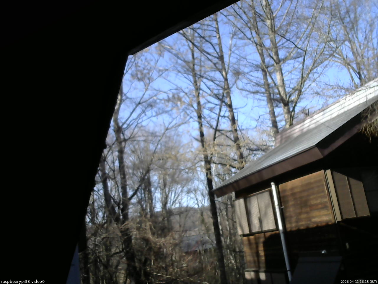 長野県菅平高原 ゆたか山荘 北側 2026/04/11 16:15