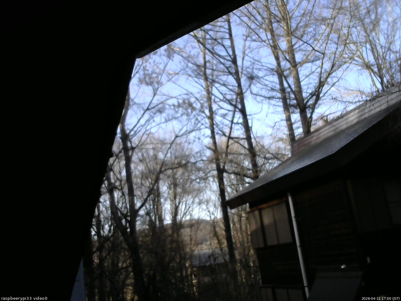 長野県菅平高原 ゆたか山荘 北側 2026/04/11 17:00