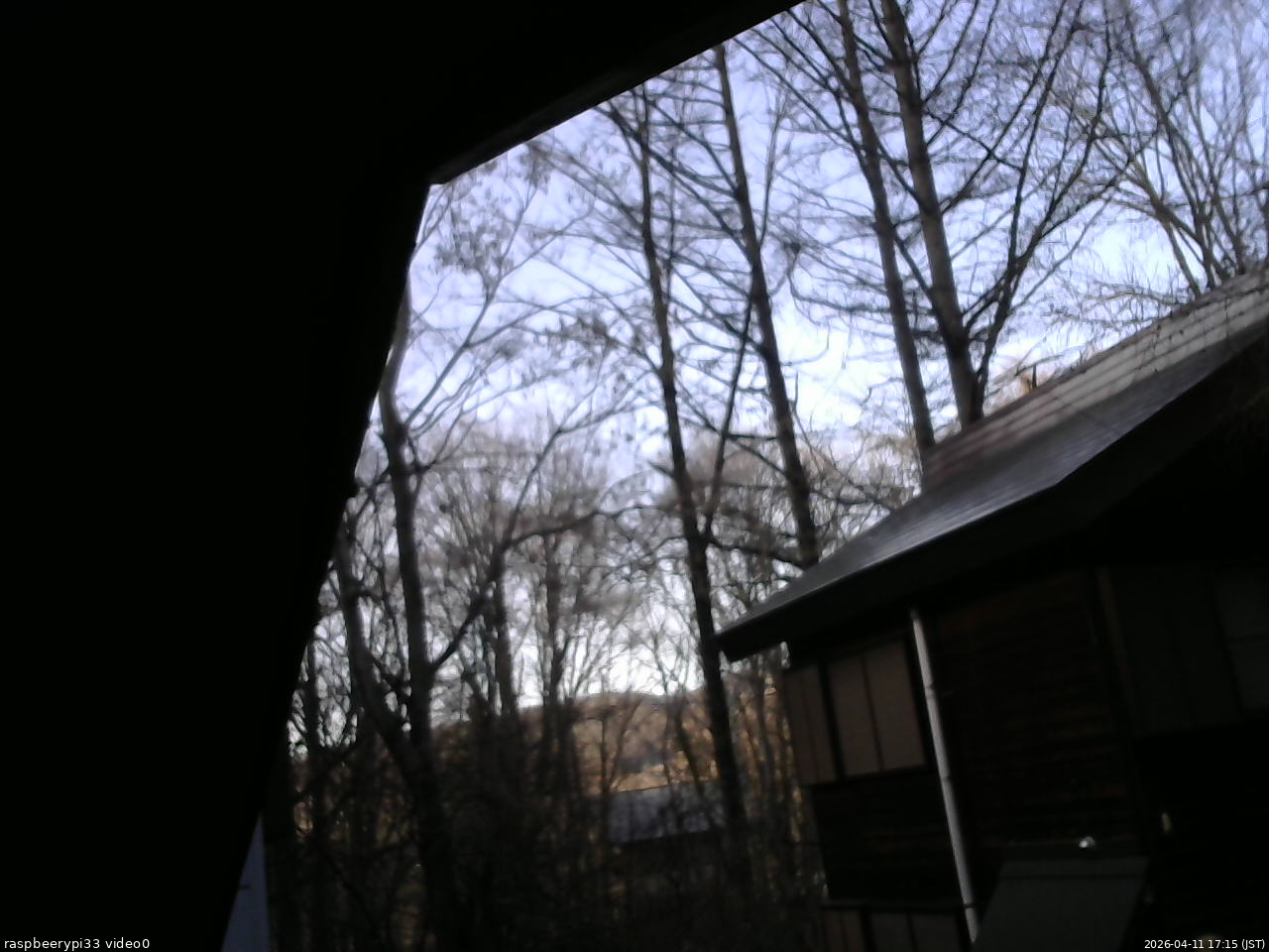 長野県菅平高原 ゆたか山荘 北側 2026/04/11 17:15