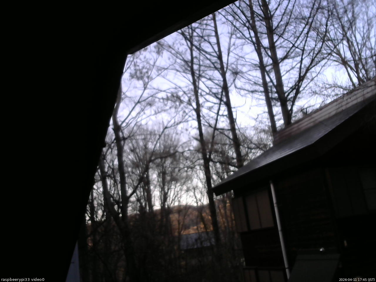 長野県菅平高原 ゆたか山荘 北側 2026/04/11 17:45