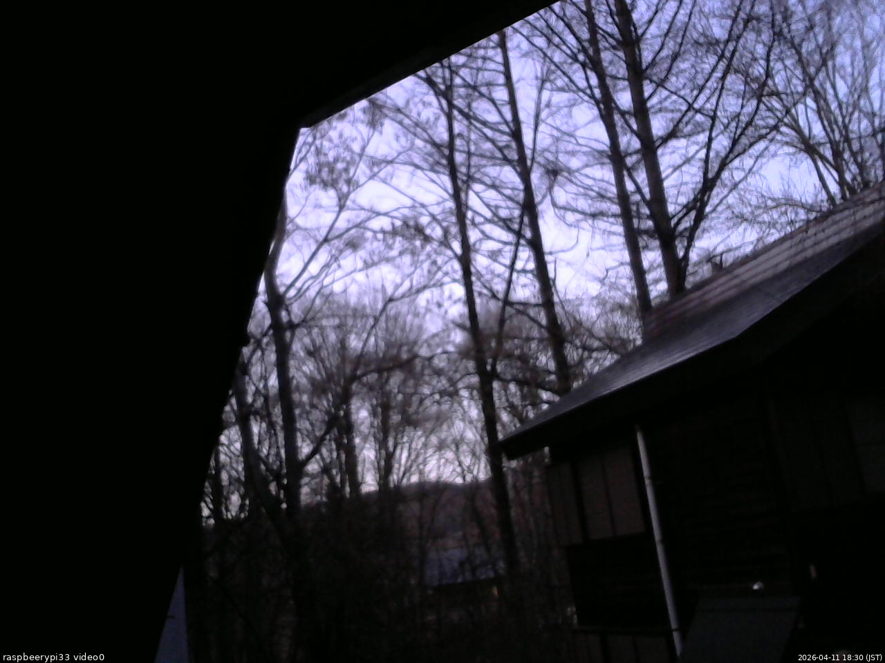 長野県菅平高原 ゆたか山荘 北側 2026/04/11 18:30