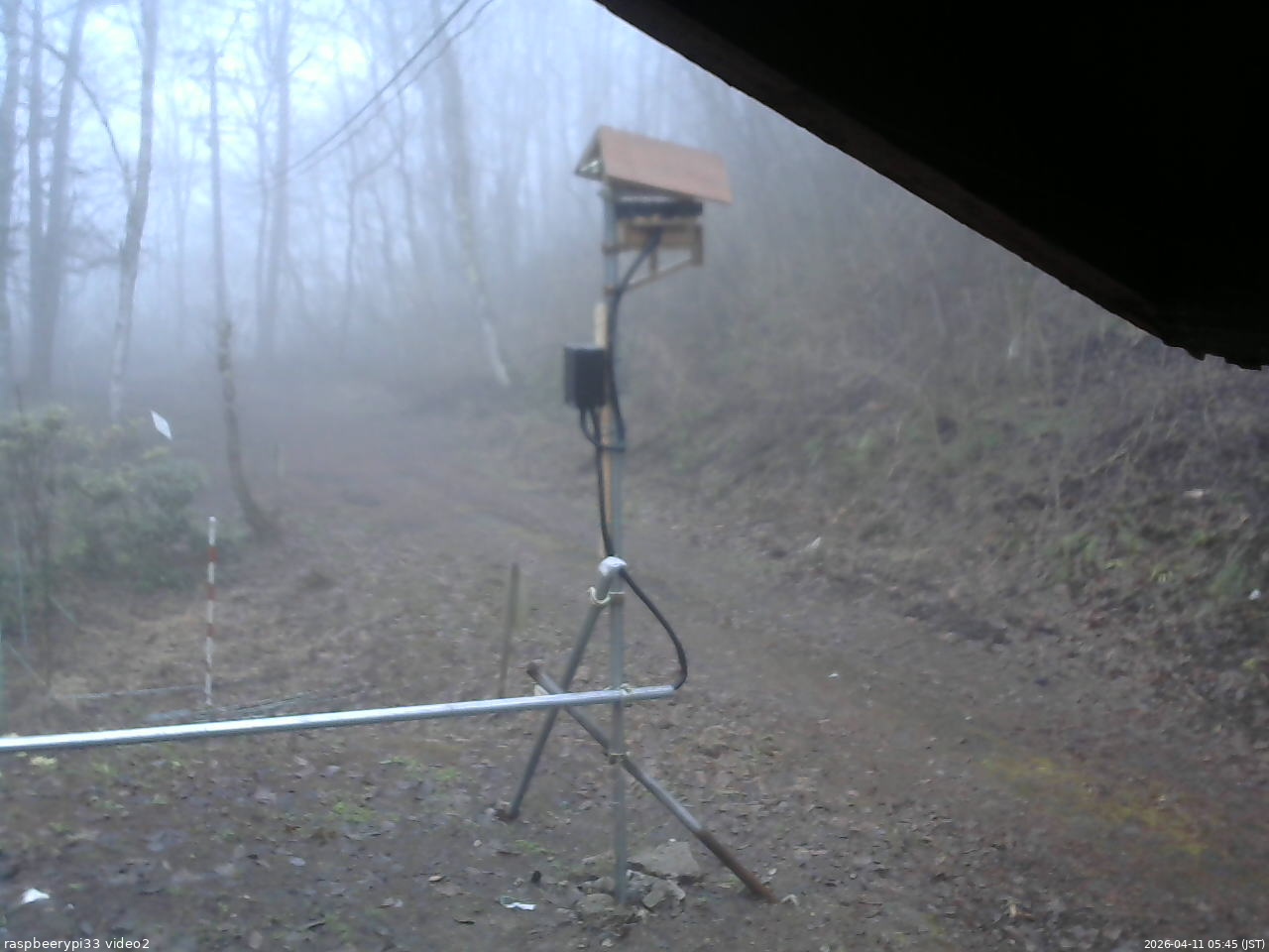 長野県菅平高原 ゆたか山荘 南側 2026/04/11 05:45