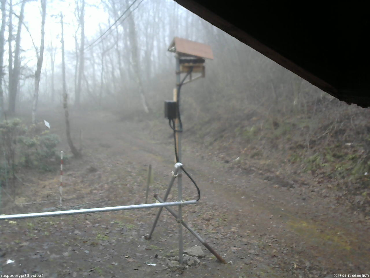 長野県菅平高原 ゆたか山荘 南側 2026/04/11 06:00