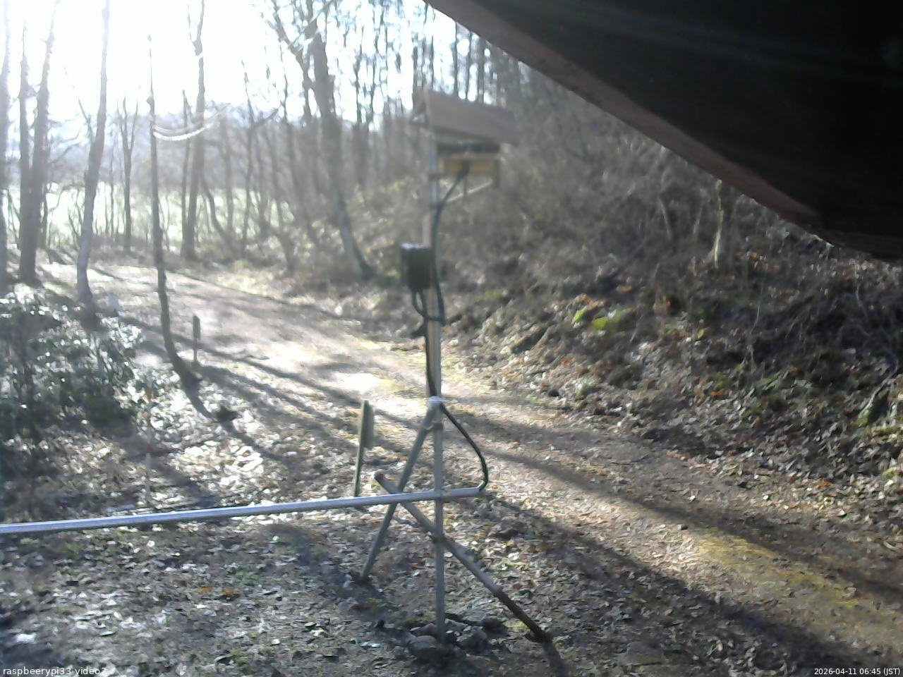 長野県菅平高原 ゆたか山荘 南側 2026/04/11 06:45