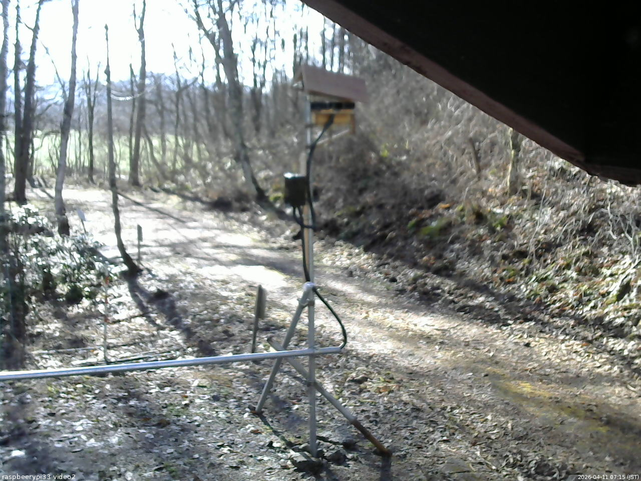 長野県菅平高原 ゆたか山荘 南側 2026/04/11 07:15