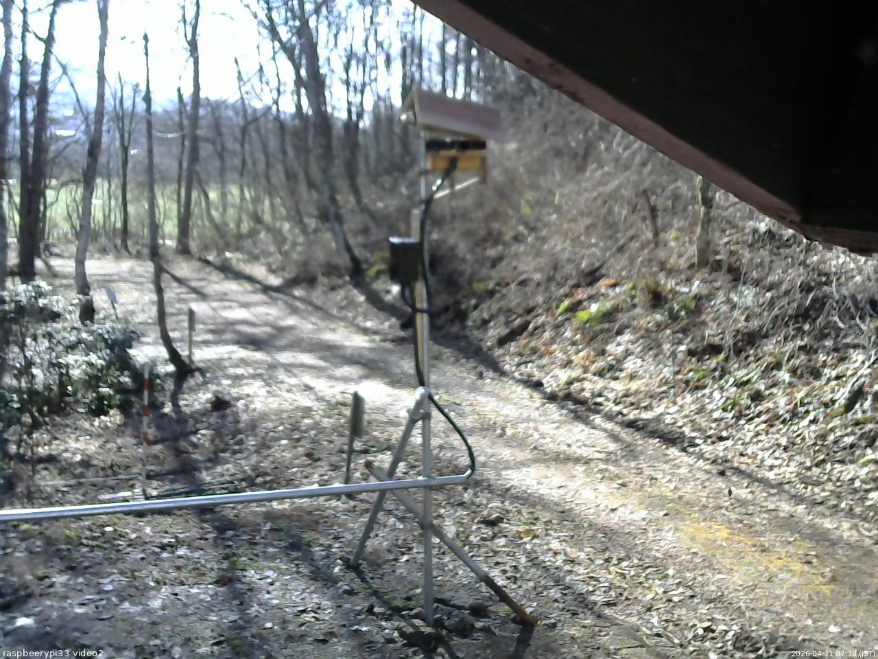 長野県菅平高原 ゆたか山荘 南側 2026/04/11 07:30