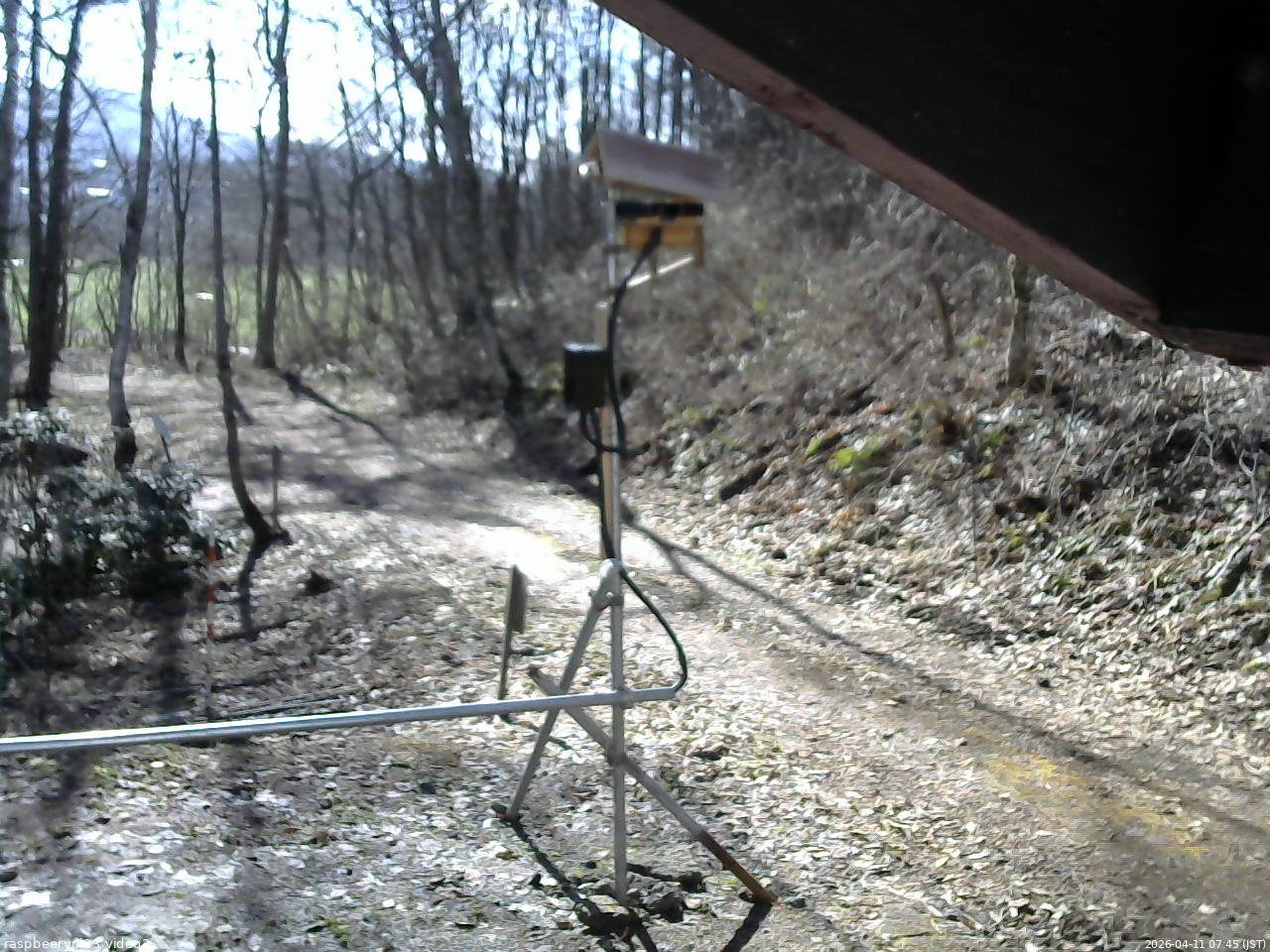 長野県菅平高原 ゆたか山荘 南側 2026/04/11 07:45