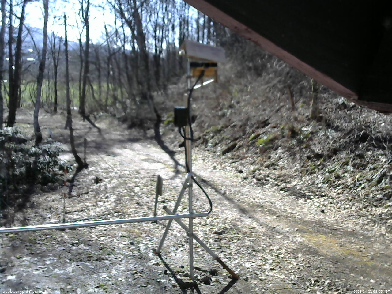 長野県菅平高原 ゆたか山荘 南側 2026/04/11 08:00