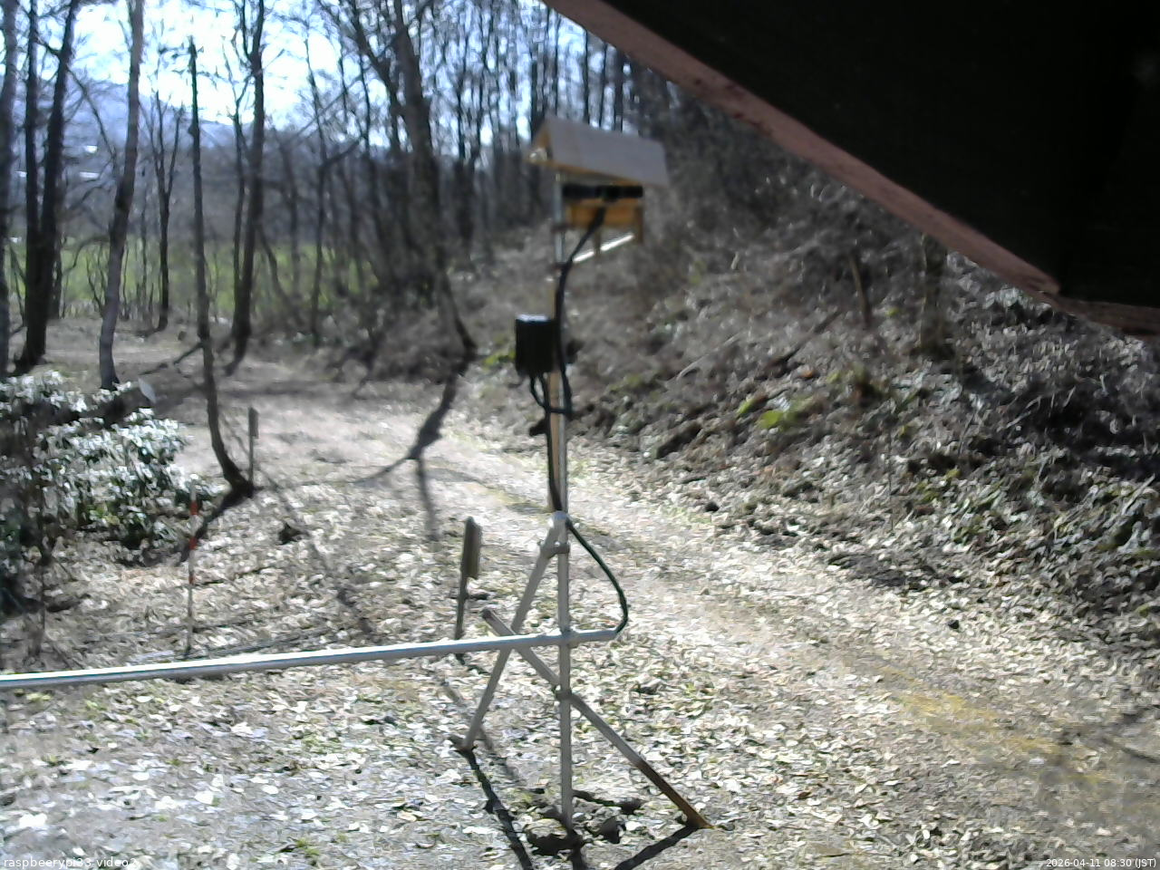 長野県菅平高原 ゆたか山荘 南側 2026/04/11 08:30