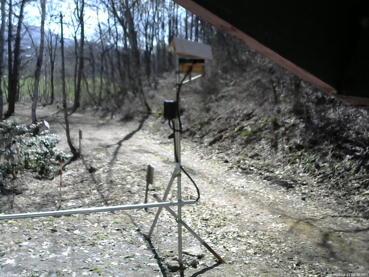 長野県菅平高原 ゆたか山荘 南側 2026/04/11 08:45