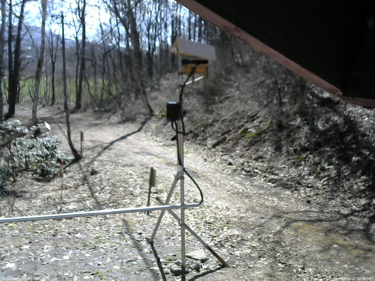 長野県菅平高原 ゆたか山荘 南側 2026/04/11 09:00