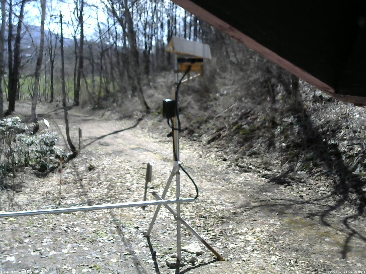 長野県菅平高原 ゆたか山荘 南側 2026/04/11 09:15