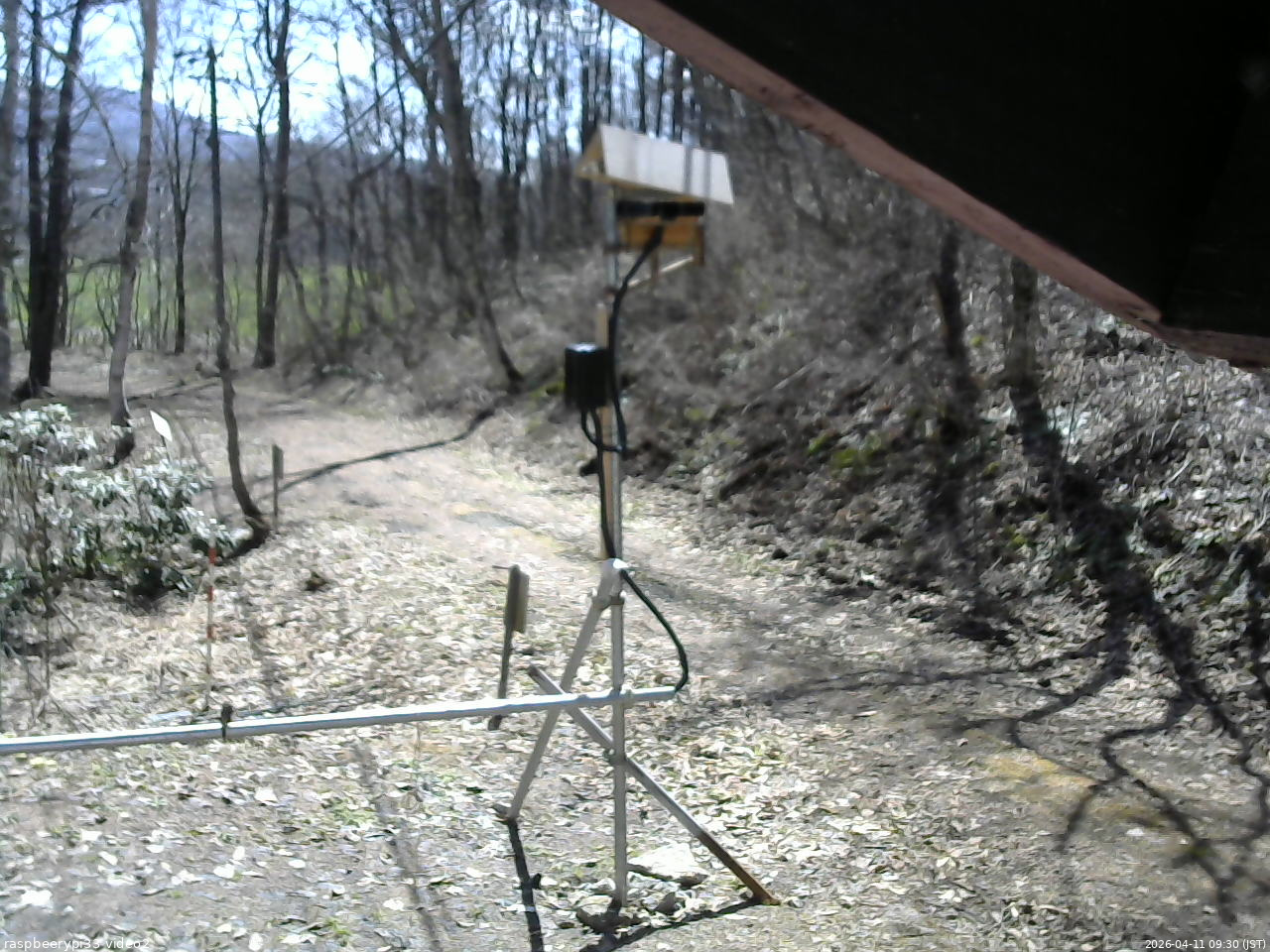 長野県菅平高原 ゆたか山荘 南側 2026/04/11 09:30