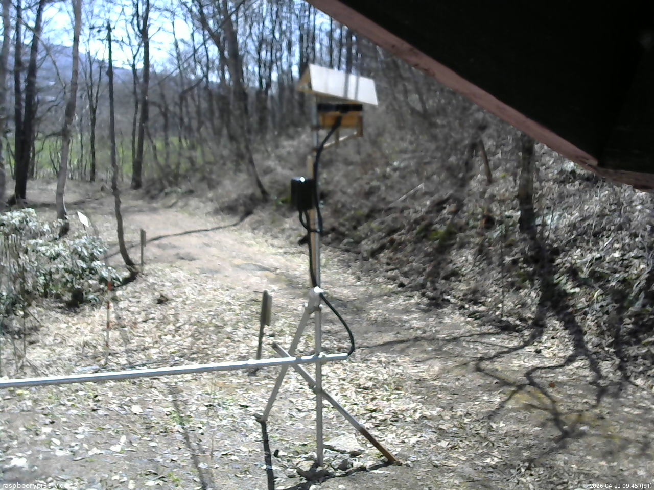 長野県菅平高原 ゆたか山荘 南側 2026/04/11 09:45