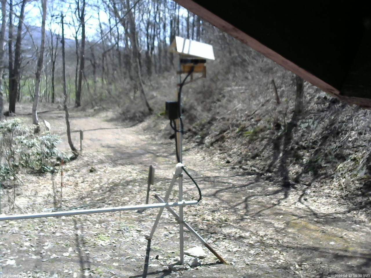 長野県菅平高原 ゆたか山荘 南側 2026/04/11 10:30