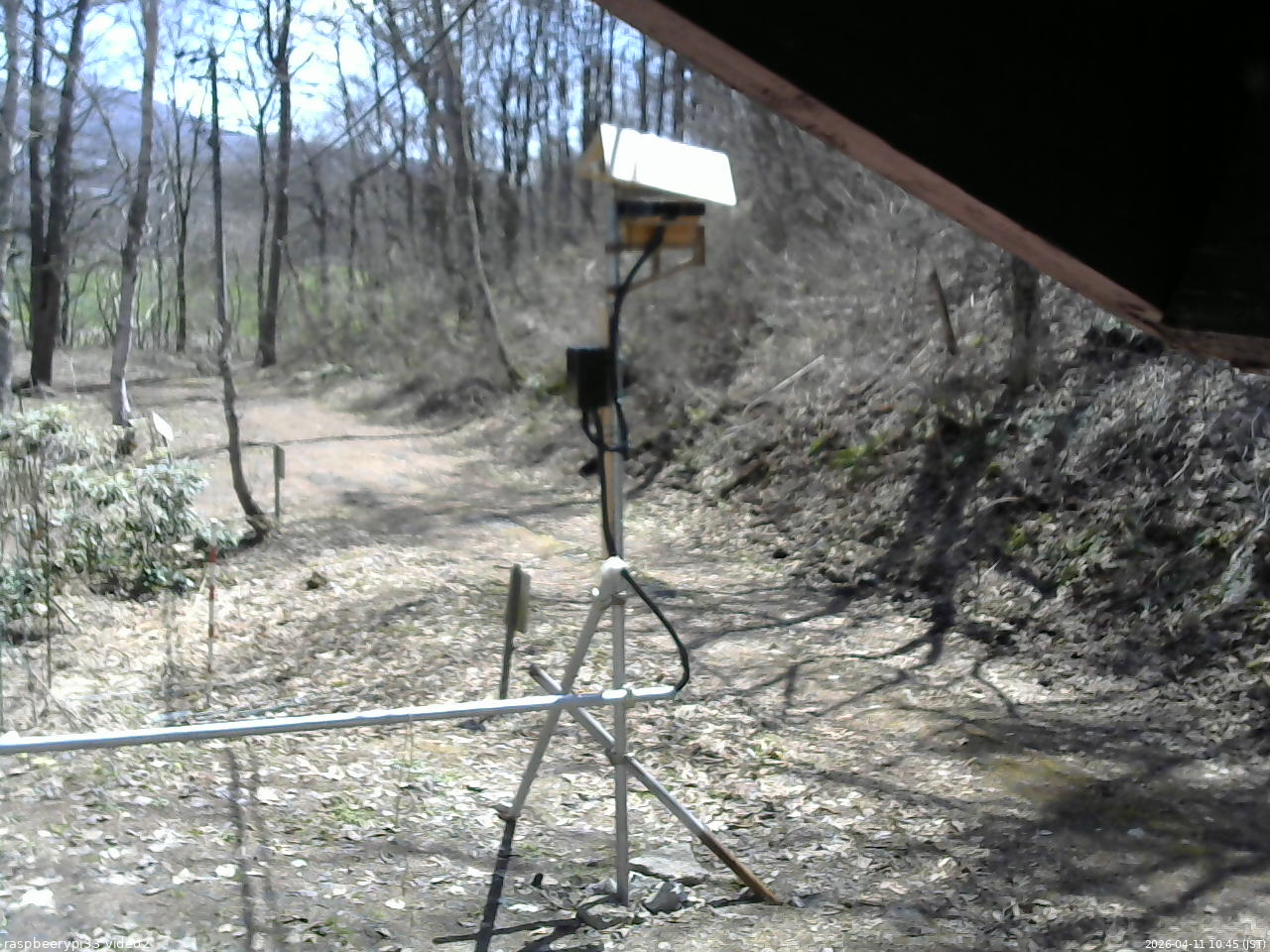 長野県菅平高原 ゆたか山荘 南側 2026/04/11 10:45