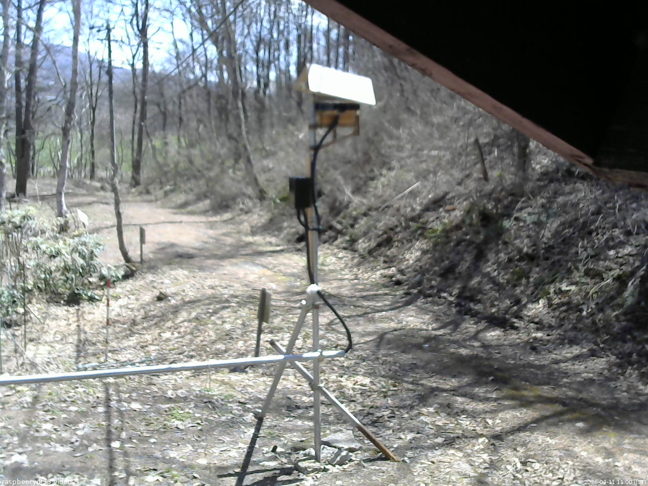 長野県菅平高原 ゆたか山荘 南側 2026/04/11 11:00