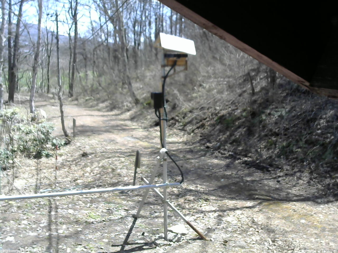 長野県菅平高原 ゆたか山荘 南側 2026/04/11 11:15