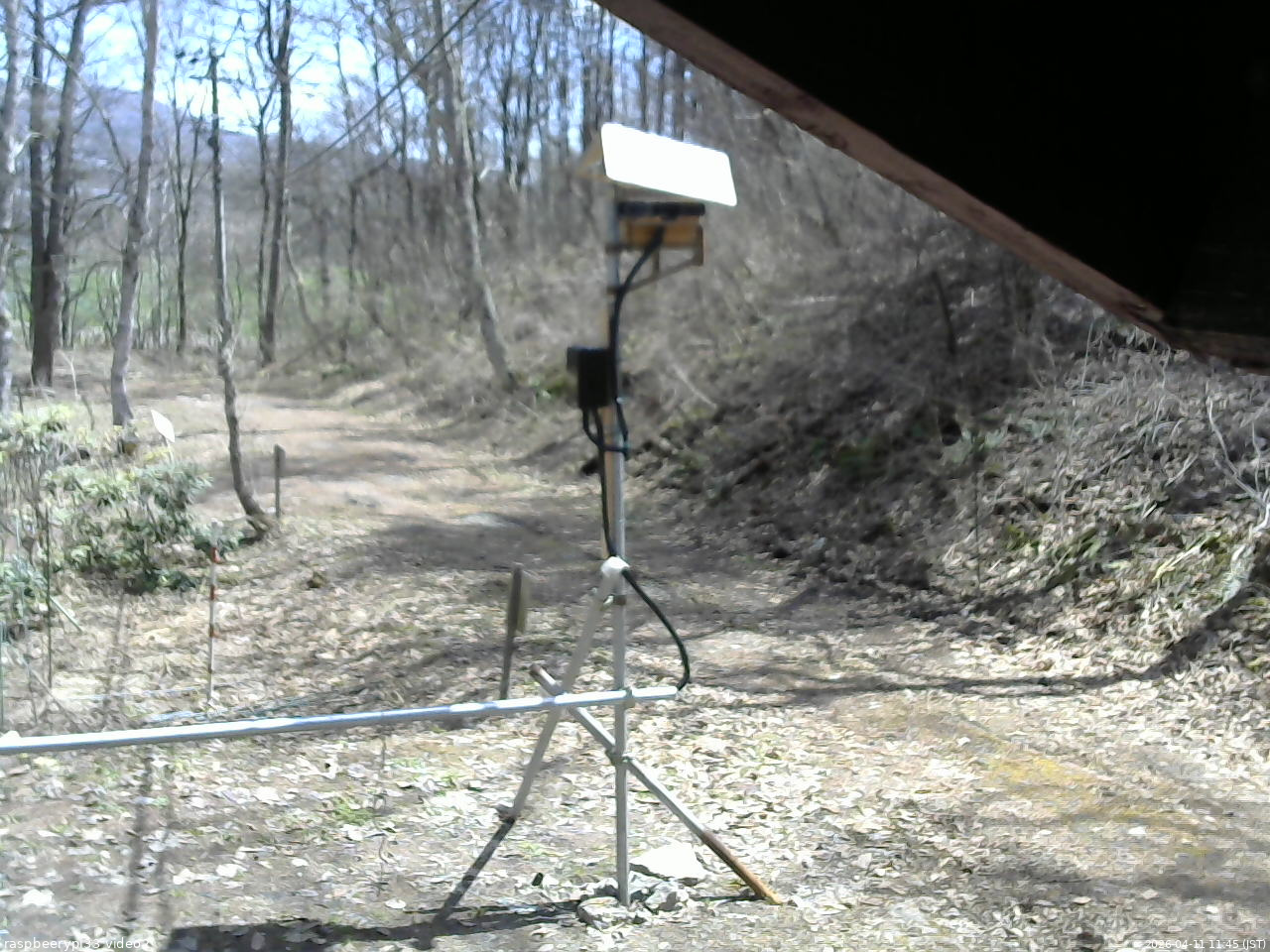 長野県菅平高原 ゆたか山荘 南側 2026/04/11 11:45