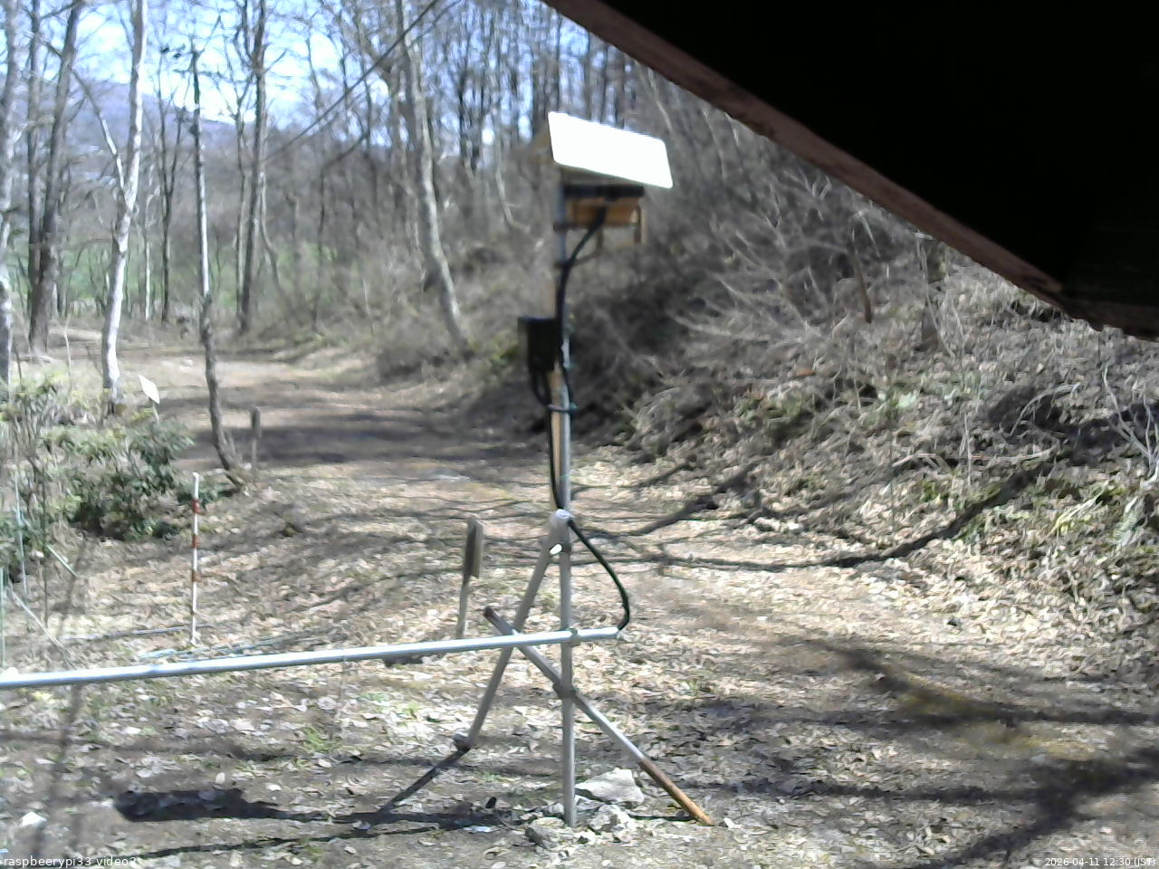 長野県菅平高原 ゆたか山荘 南側 2026/04/11 12:30