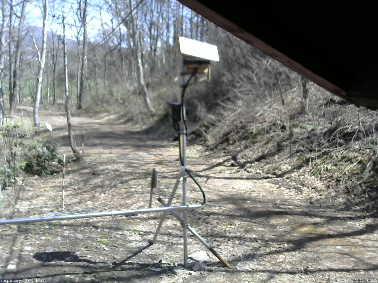 長野県菅平高原 ゆたか山荘 南側 2026/04/11 12:45