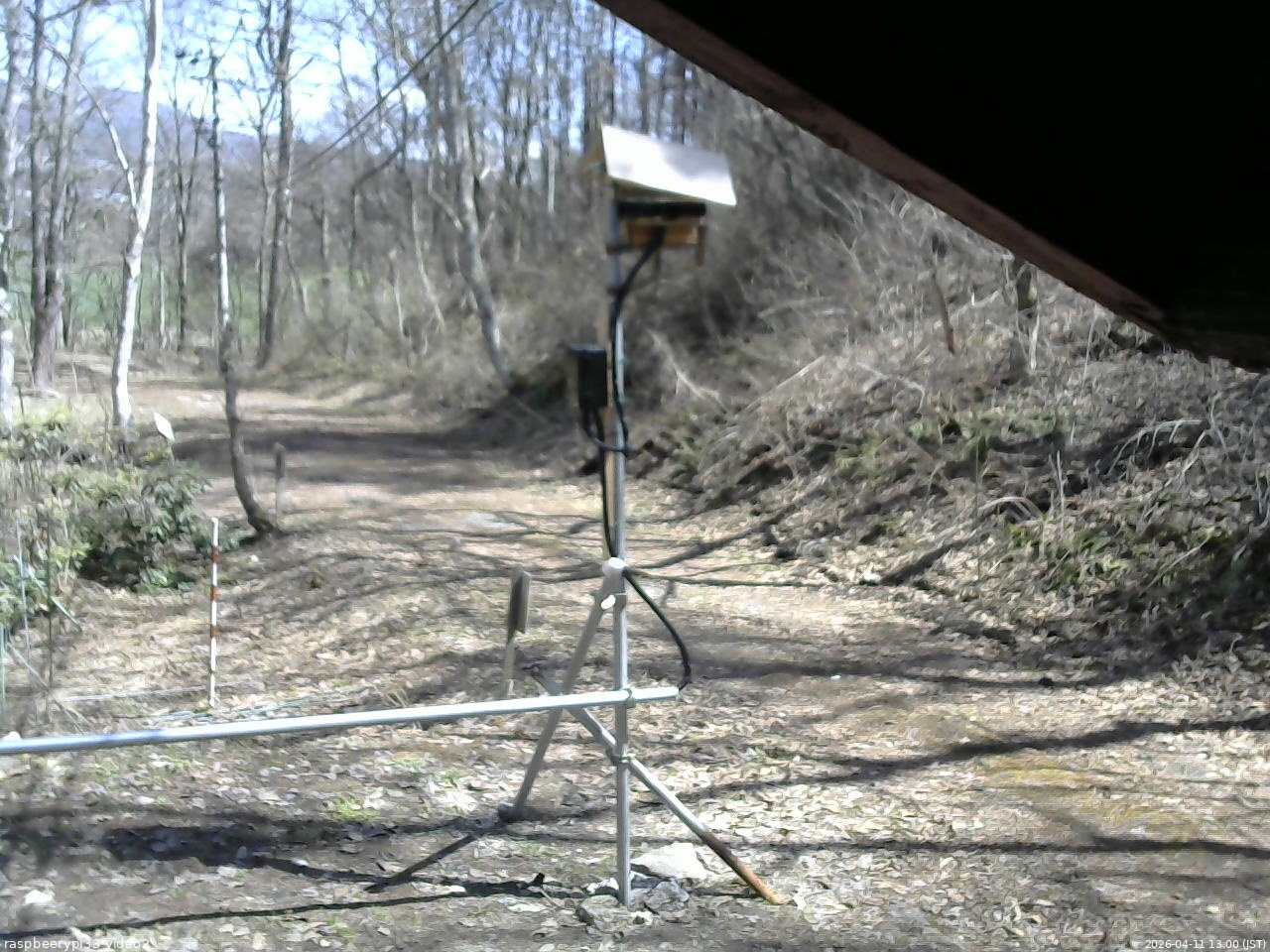 長野県菅平高原 ゆたか山荘 南側 2026/04/11 13:00