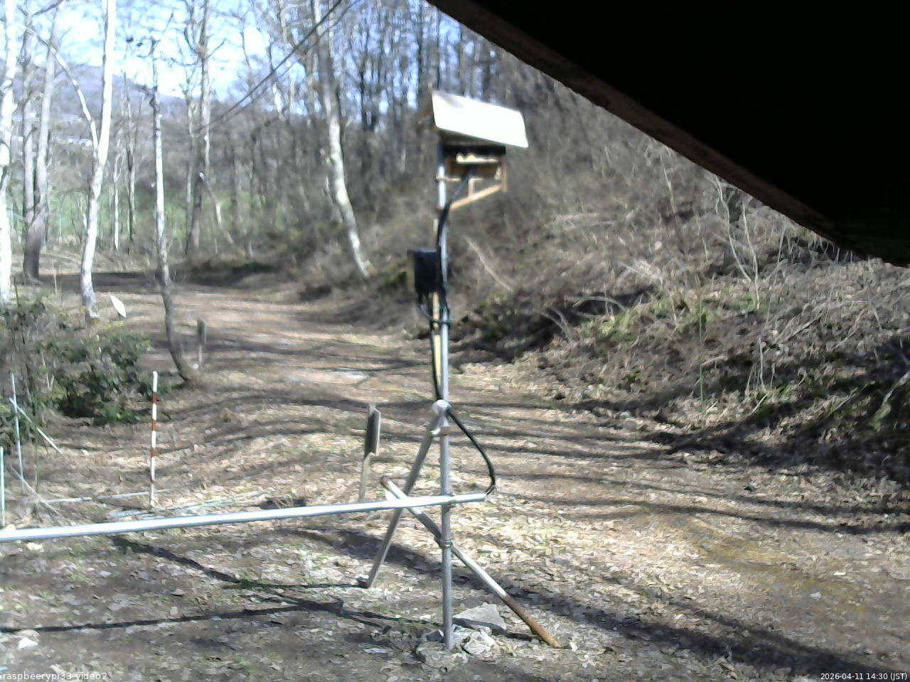 長野県菅平高原 ゆたか山荘 南側 2026/04/11 14:30