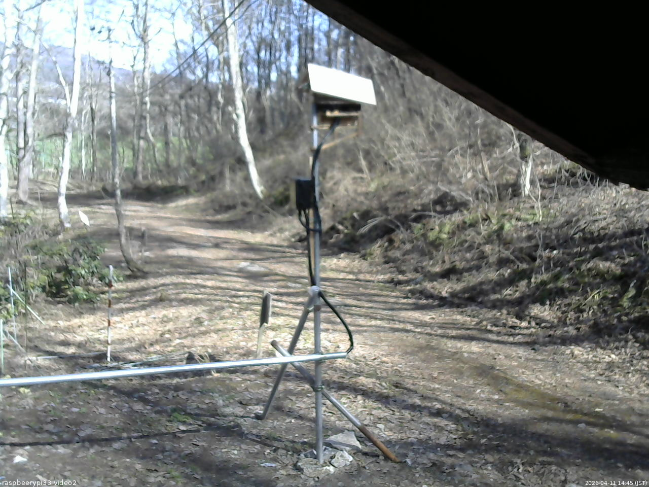長野県菅平高原 ゆたか山荘 南側 2026/04/11 14:45