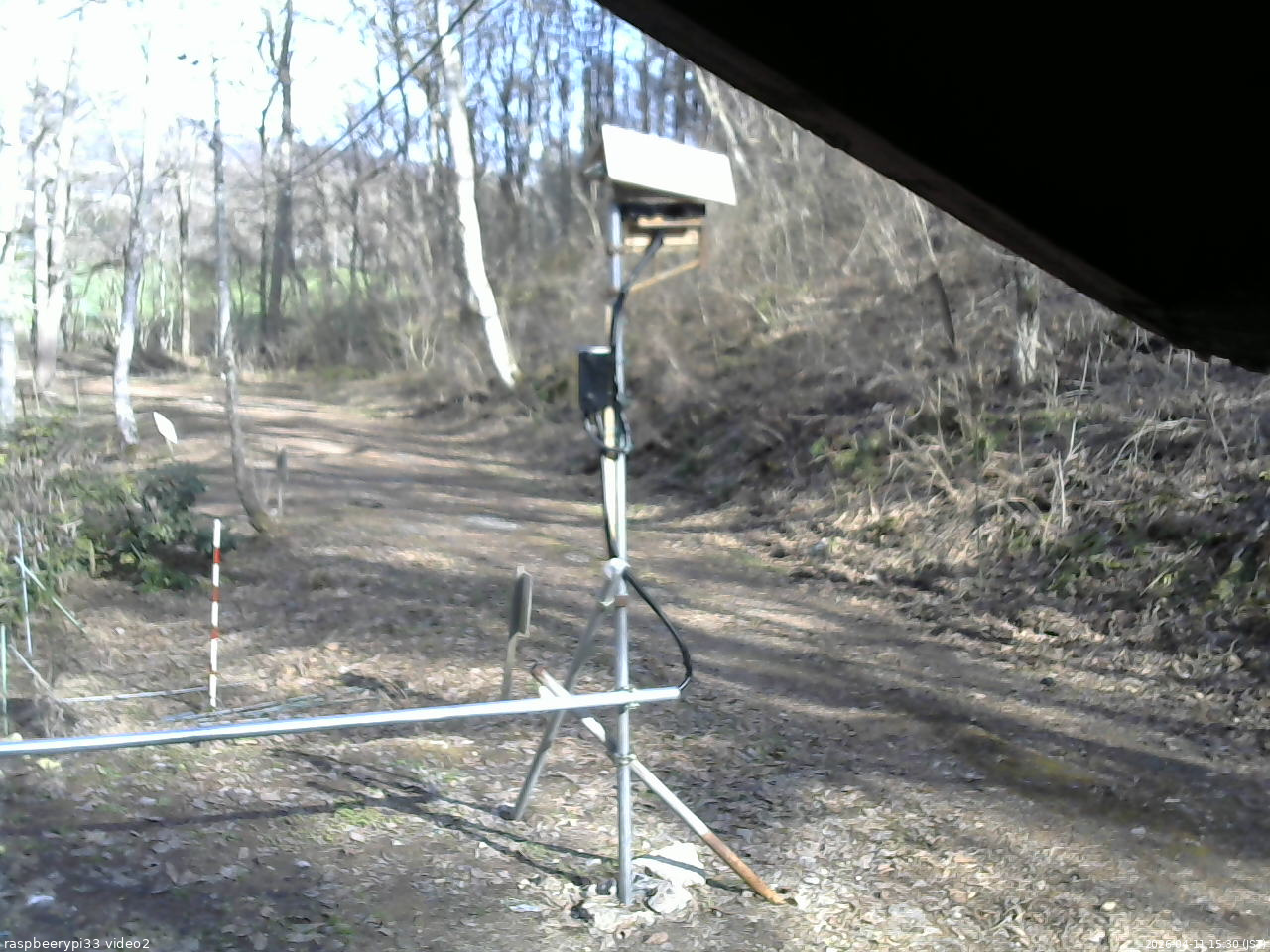 長野県菅平高原 ゆたか山荘 南側 2026/04/11 15:30