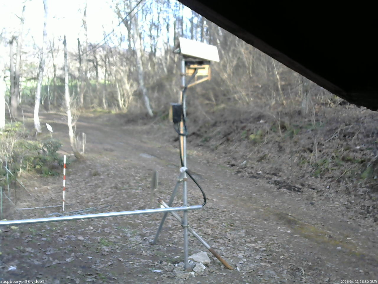 長野県菅平高原 ゆたか山荘 南側 2026/04/11 16:30