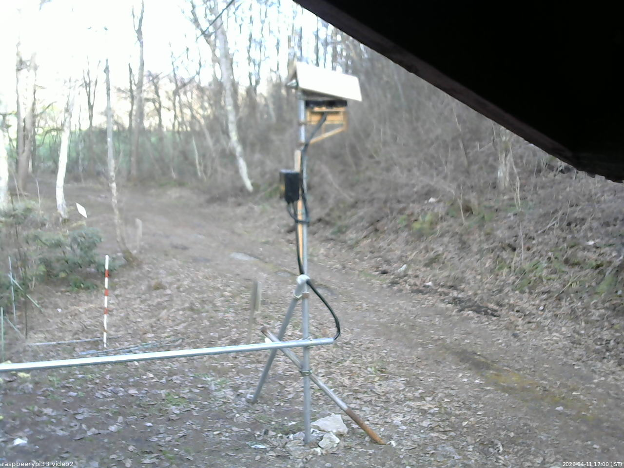 長野県菅平高原 ゆたか山荘 南側 2026/04/11 17:00