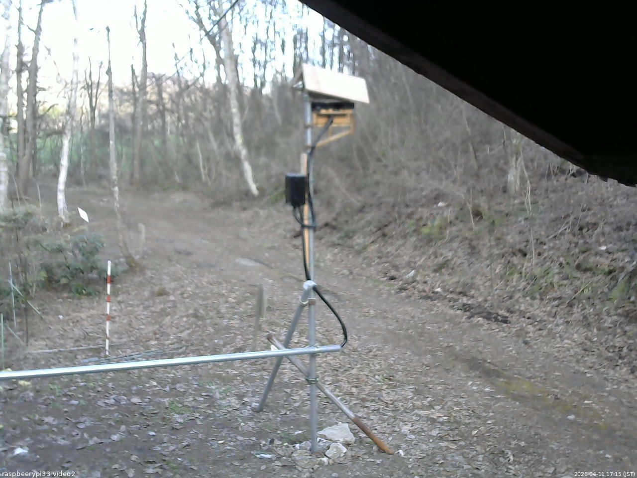 長野県菅平高原 ゆたか山荘 南側 2026/04/11 17:15