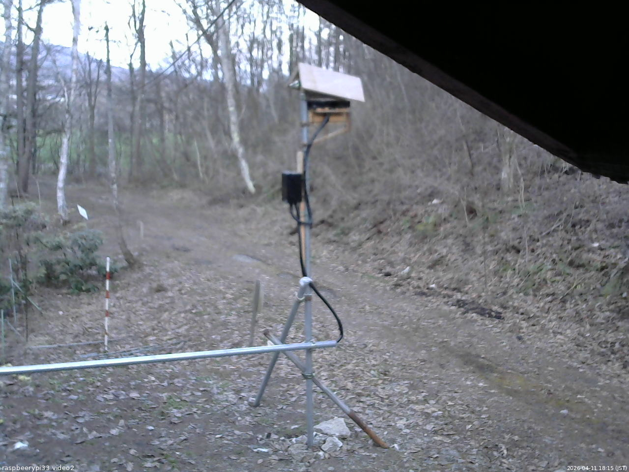 長野県菅平高原 ゆたか山荘 南側 2026/04/11 18:15