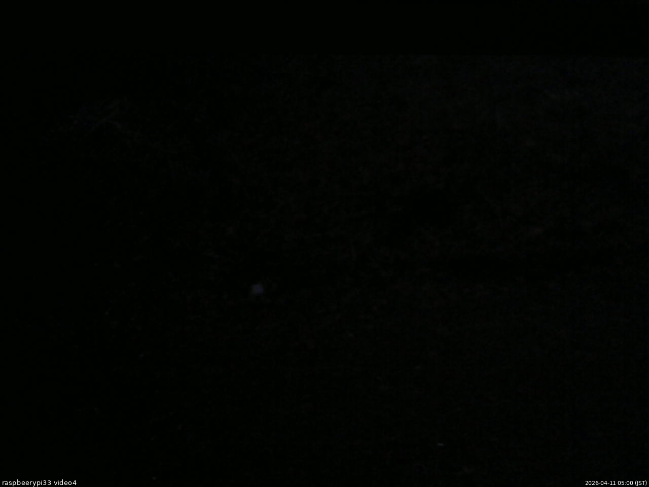 長野県菅平高原 ゆたか山荘 東側(坂下) 2026/04/11 05:00