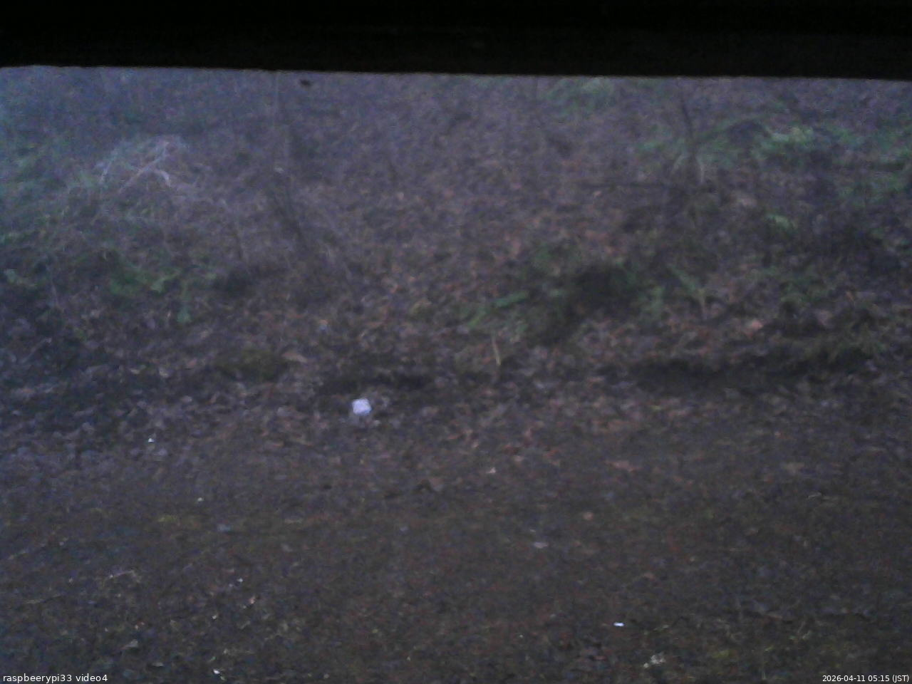 長野県菅平高原 ゆたか山荘 東側(坂下) 2026/04/11 05:15