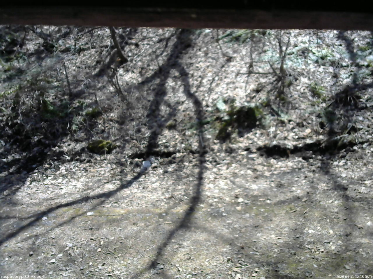 長野県菅平高原 ゆたか山荘 東側(坂下) 2026/04/11 12:15