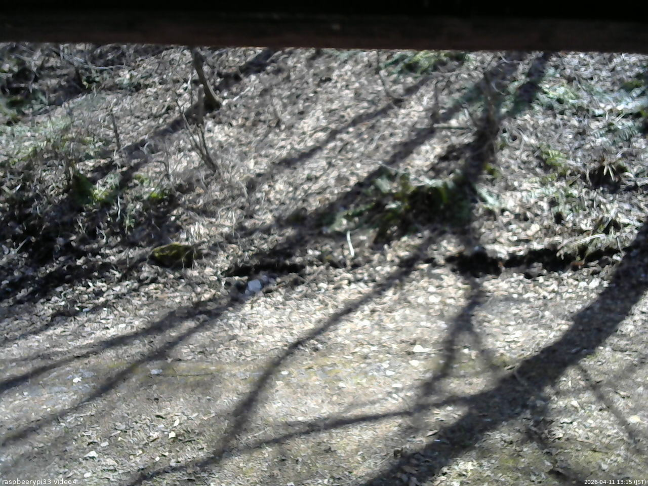 長野県菅平高原 ゆたか山荘 東側(坂下) 2026/04/11 13:15