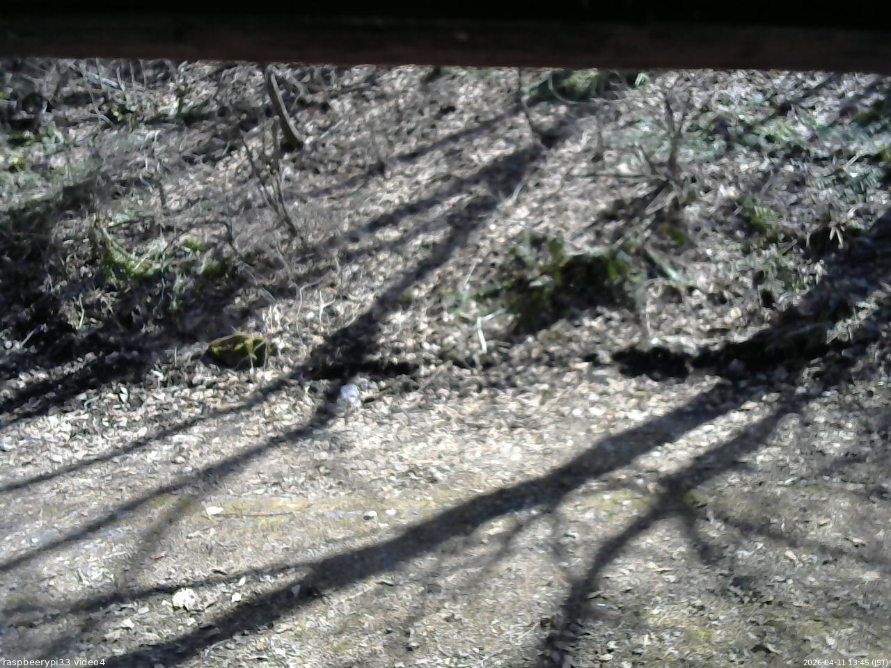 長野県菅平高原 ゆたか山荘 東側(坂下) 2026/04/11 13:45