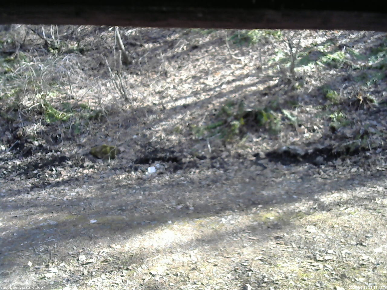 長野県菅平高原 ゆたか山荘 東側(坂下) 2026/04/11 15:15