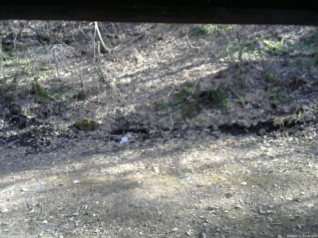 長野県菅平高原 ゆたか山荘 東側(坂下) 2026/04/11 15:30