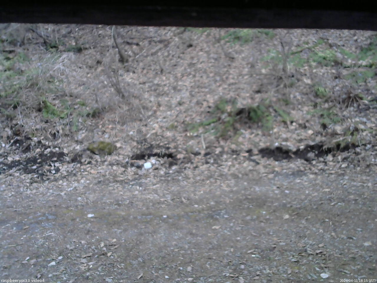 長野県菅平高原 ゆたか山荘 東側(坂下) 2026/04/11 18:15
