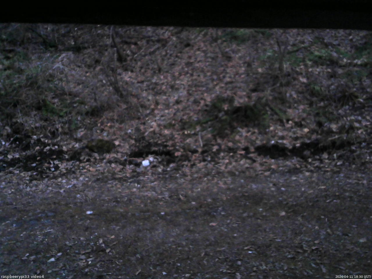 長野県菅平高原 ゆたか山荘 東側(坂下) 2026/04/11 18:30