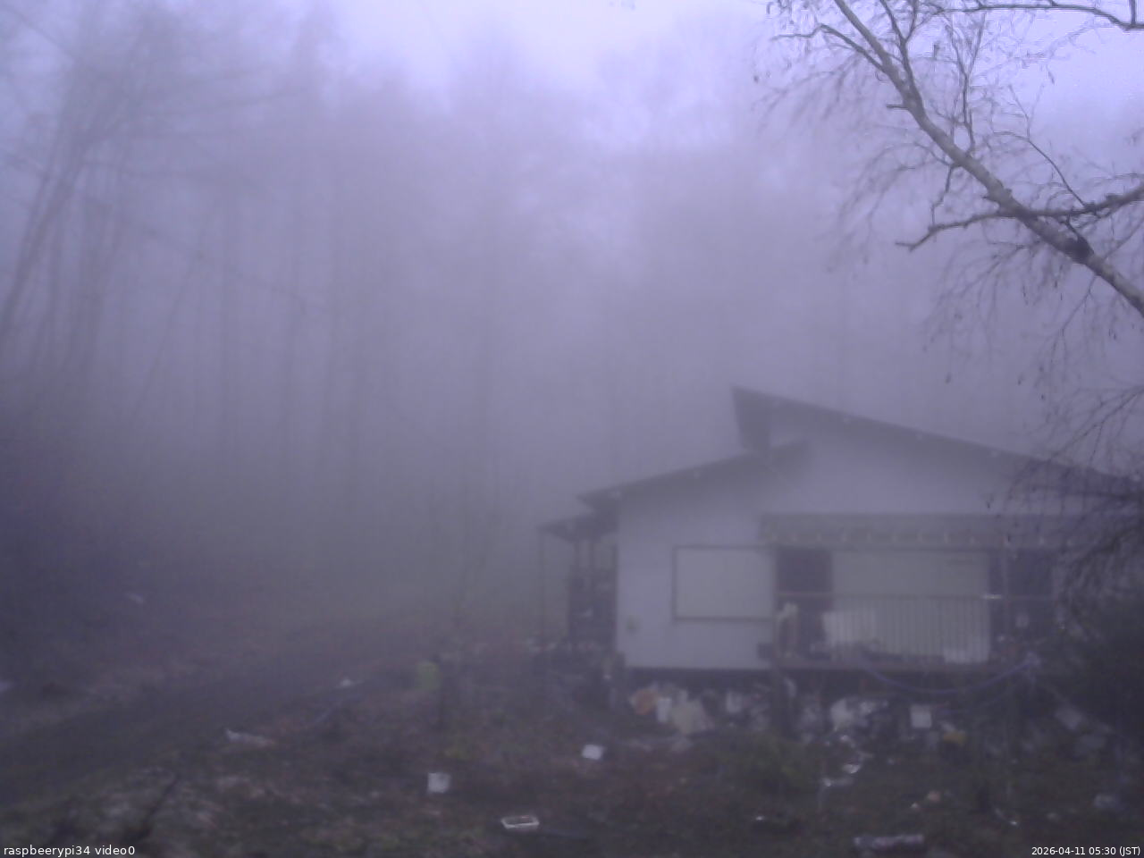 長野県菅平高原 ゆたか山荘 西側(坂上) 2026/04/11 05:30