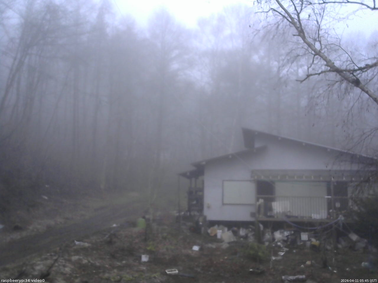 長野県菅平高原 ゆたか山荘 西側(坂上) 2026/04/11 05:45
