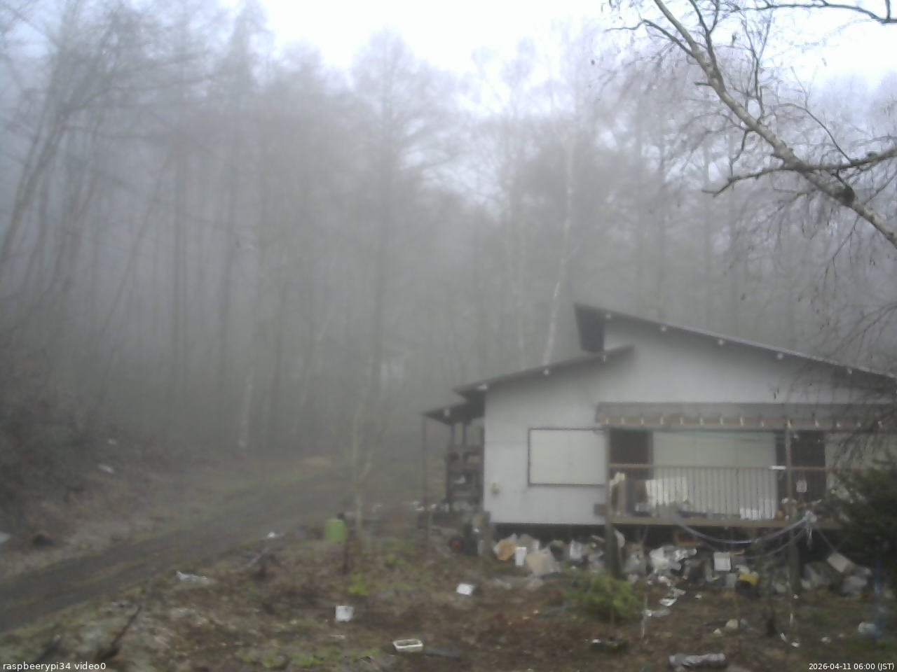 長野県菅平高原 ゆたか山荘 西側(坂上) 2026/04/11 06:00