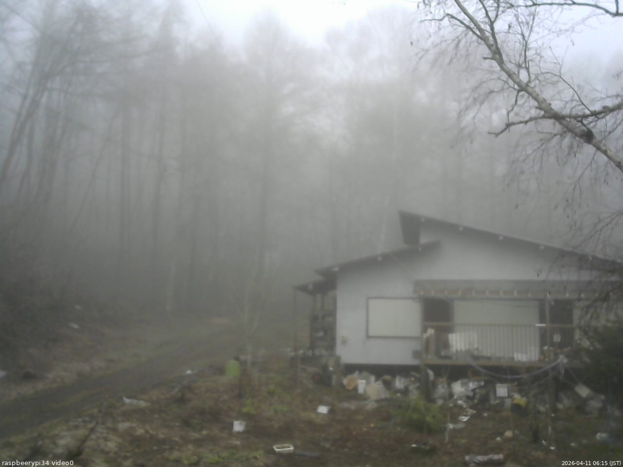 長野県菅平高原 ゆたか山荘 西側(坂上) 2026/04/11 06:15