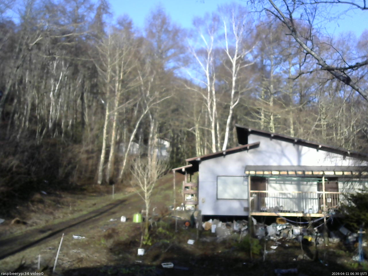 長野県菅平高原 ゆたか山荘 西側(坂上) 2026/04/11 06:30