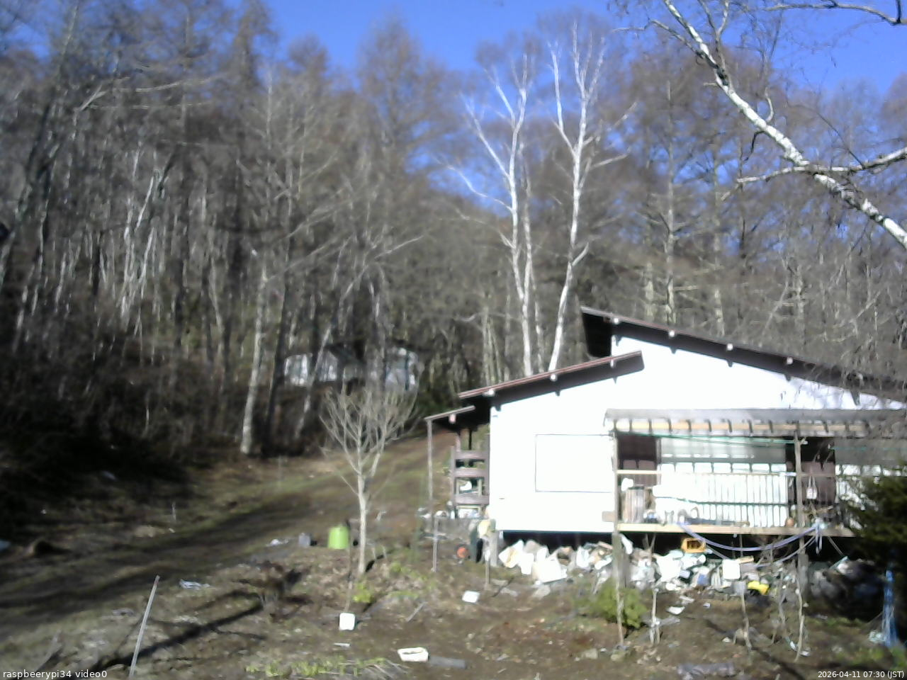 長野県菅平高原 ゆたか山荘 西側(坂上) 2026/04/11 07:30