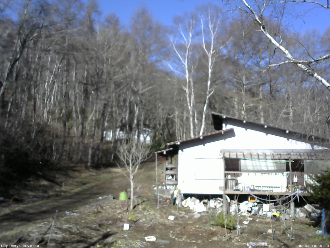 長野県菅平高原 ゆたか山荘 西側(坂上) 2026/04/11 08:00